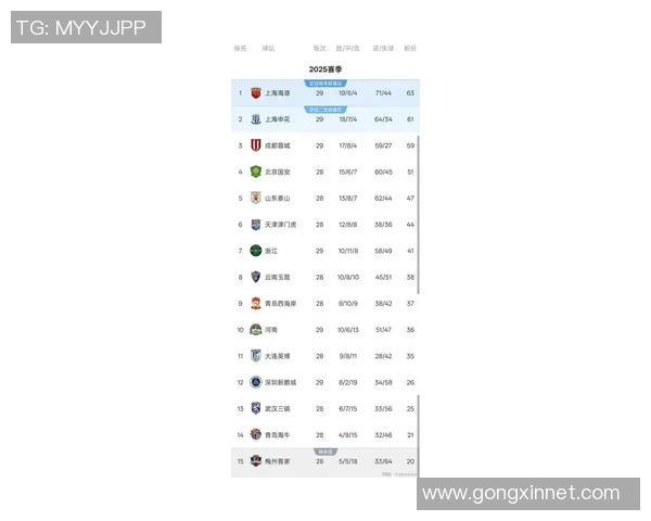 上海足球队在大师赛积分榜中以66分稳居第一名展现强劲实力